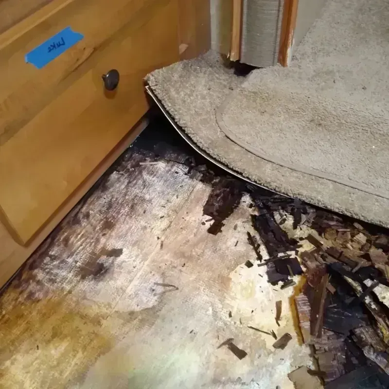 Wood Floor Water Damage in Eagle, NE